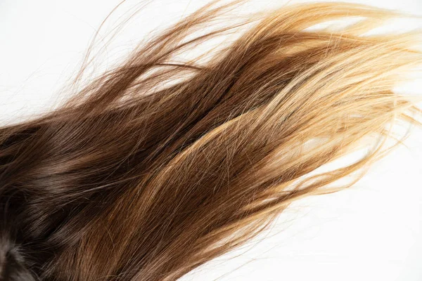 Bruin Geverfd Haar Voor Vrouwen Een Witte Achtergrond Schoonheid Haarverzorging — Stockfoto