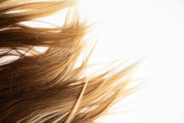 Brązowe Włosy Kobiet Farbowane Białym Tle Piękno Pielęgnacja Włosów — Zdjęcie stockowe