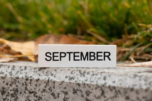 September is written on a wooden board that stands on the road near the lawn in autumn leaves, autumn calendar