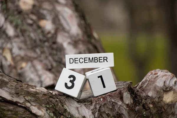 Грудня Текст Дерев Яних Кубиках Стоять Різдвяному Дереві Лісі Новим — стокове фото