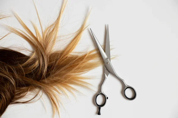 Ciseaux Professionnels Pour Couper Les Cheveux Les Cheveux Bruns Féminins — Photo