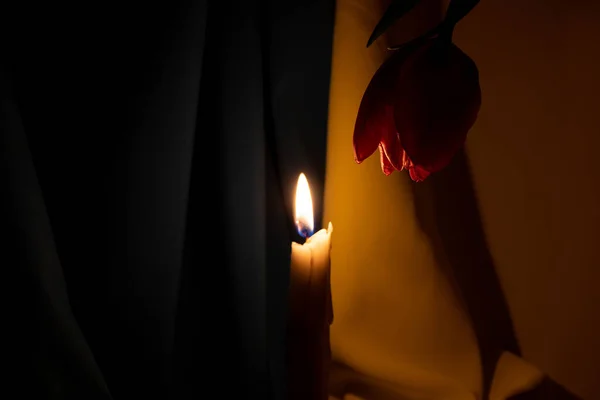 Κερί Και Ροζ Τουλίπα Στο Σκοτάδι Φόντο Σημαία Της Ουκρανίας — Φωτογραφία Αρχείου