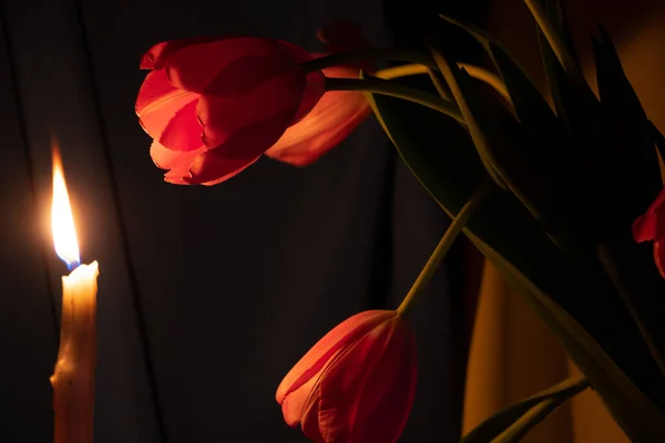 Kerze Und Rosa Tulpen Dunkeln Vor Dem Hintergrund Der Flagge — Stockfoto