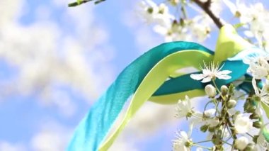 Ukrayna 'da baharda kiraz çiçeğinin üzerindeki yay şeklinde Ukrayna bayrağı.