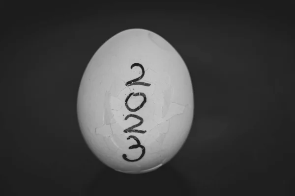 2023 Год Написан Треснувшем Белом Курином Яйце Черном Фоне 2023 — стоковое фото