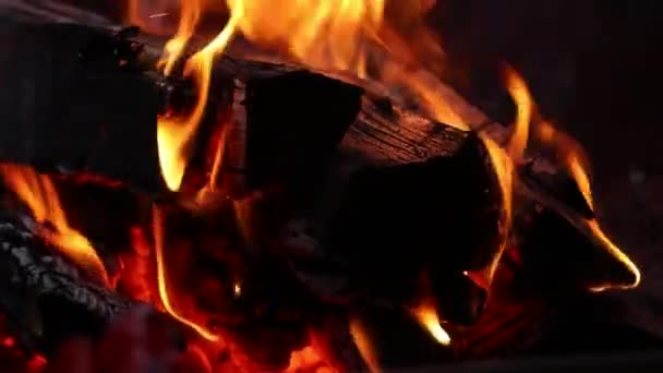 Flamme Feu Camp Dans Nature Gros Plan Feu Nuit — Video