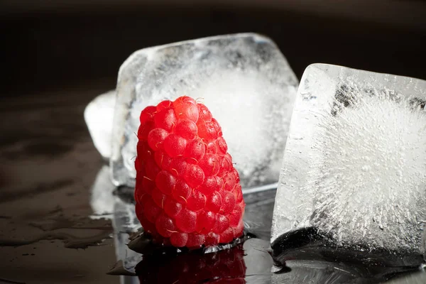 One Raspberry Black Plate Water Ice Cubes Close Berries — Stock Photo, Image