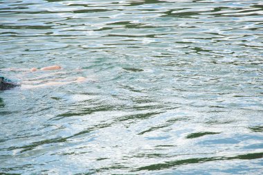 Ukrayna 'da bir taş ocağında suyun üzerinde yüzen insanların bacakları, 2023 yazında suda yüzen insanlar.