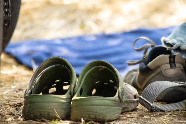Sapatos Borracha Verde Voando Fica Parques Natureza Verão Férias Ucrânia — Fotografia de Stock