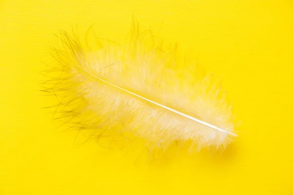 Jedno Duże Pióro Ptaka Leży Żółtym Papierze Jako Tło Lekkość — Zdjęcie stockowe