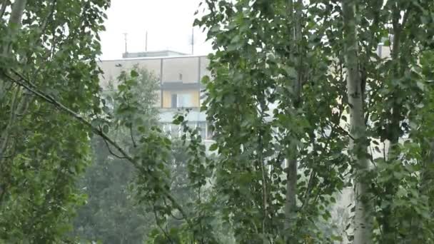 Área Residencial Com Arranha Céus Durante Chuva Agosto Cidade Dnipro — Vídeo de Stock
