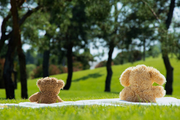 Two children's teddy bears sit on the grass in the summer in a field in the sun in Ukraine