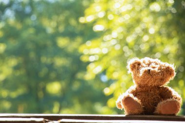 Oyuncak ayılar, yazın Ukrayna 'da güneşin altında tahta bir tahtanın üzerinde oturur. Arka planda bir çocuk oyuncağı.