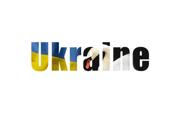Szöveg Ukrajna Zászló Textúra Hattyú Betűkkel Fehér Ukrajna Háttér Szöveges — Stock Fotó