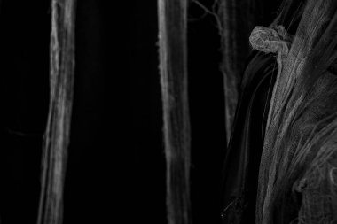 Siyah ipek perdeler ve arka plan olarak beyaz kirli gazlı bez, arka plan olarak kirli korkunç kumaşlar, dekor ve duvar kağıdı, koyu arkaplan