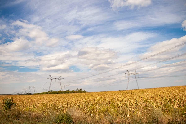 Power transmission tower in Ukraine in summer. Overhead wires of high-voltage power transmission line supports through a field with corn in summer