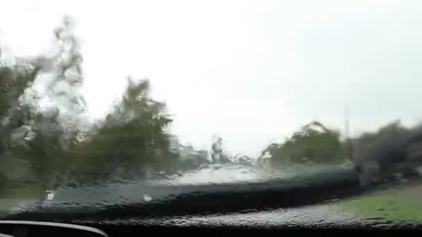 車のウィンドシールドワイパーは ウクライナの道路のスピードで移動車の雨をワイプします 夏の日 内側からの眺め 豪雨と悪天候 — ストック動画