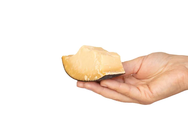 Girl Holds Piece Hard Cheese Her Hand White Background Close — Stock Photo, Image