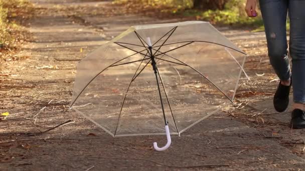Transparentní Deštník Leží Cestě Lese Pod Podzimním Sluncem Větrem Ukrajině — Stock video