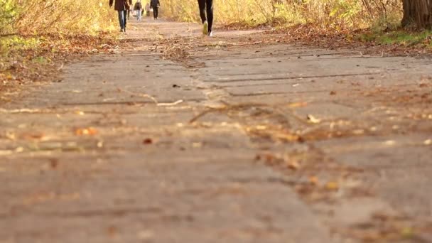 Pessoas Caminham Parque Outono Ucrânia Outono Longo Uma Longa Estrada — Vídeo de Stock