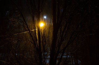 Ukrayna 'nın Dnipro şehrinin yerleşim bölgesinde fener ışığı ve ağaçlar, karlı akşam havasında, 2023 kışında şehirde kar yağışı.