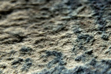 Beyaz-mavi tüylü benekli arka plan makro fotoğrafı, tüylü eski sentetik kumaşın arka planı