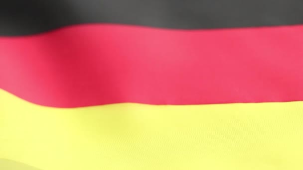 Ukrán Zászló Szalagjával Összekötött Búzafül Van Kitűzve Németország Zászlajára Németország — Stock videók