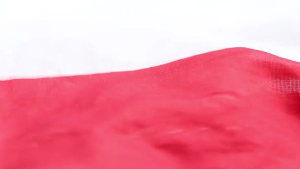 Bandera Polonia Espigas Trigo Cerca Cosecha Granos Polonia Alimentos — Vídeo de stock
