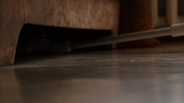 Uma Menina Aspira Chão Debaixo Sofá Casa Limpa Casa — Vídeo de Stock