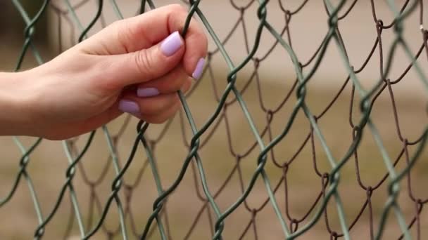 Κορίτσι Κρατά Χέρια Της Στο Πλέγμα Πίσω Από Φράχτη Αιχμαλωσία — Αρχείο Βίντεο