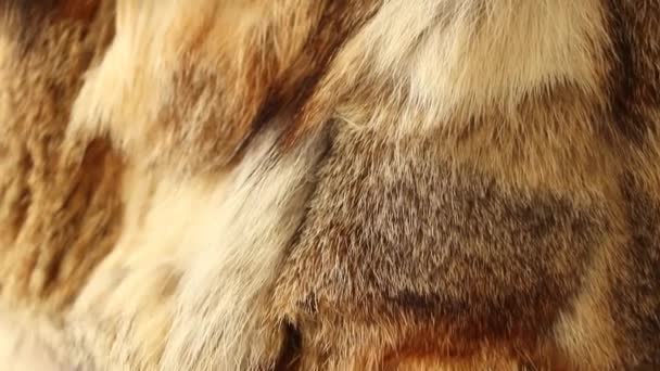 Braunes Tierfell Nahaufnahme Auf Einer Jacke Als Hintergrund Fell Für — Stockvideo