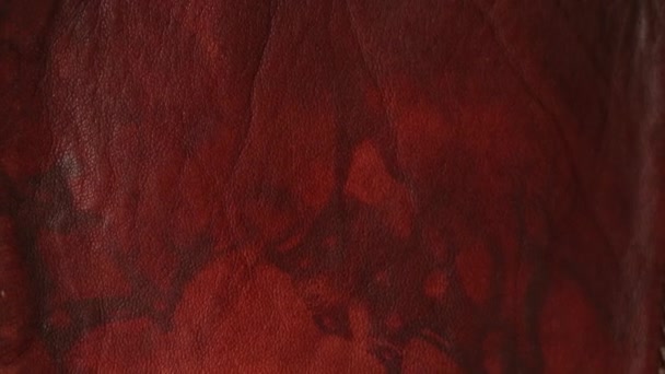 Красная Кожаная Куртка Задний План Кожаный Фон — стоковое видео