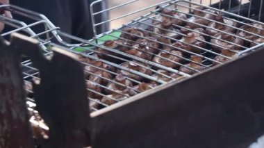 Yazın Ukrayna 'da bir parkta ızgara ızgarasında şampiyonları kızartmak