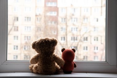 Çocukların yumuşak oyuncakları pencereye oturur ve pencereden dışarı bakar, oyuncaklar.