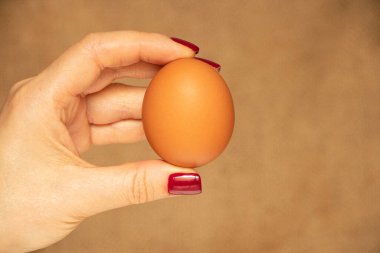 Kahverengi arka planda bir kızın elinde kahverengi tavuk yumurtası.