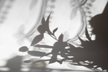 Şakayıklı bir buketin gölgesi ve beyaz arka planda bir perde, çiçek gölgesi, beyaz arkaplan