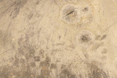 Atölyede lekeler ve lekeler olan gri beton zemin, arka planda beton zemin.