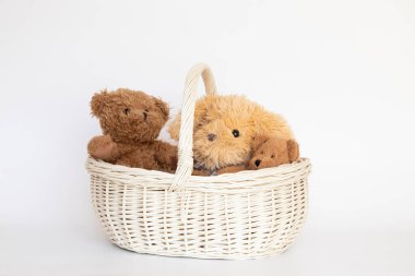 Beyaz arka planda beyaz bir sepetin içinde oyuncak ayılar ve tavşancık.