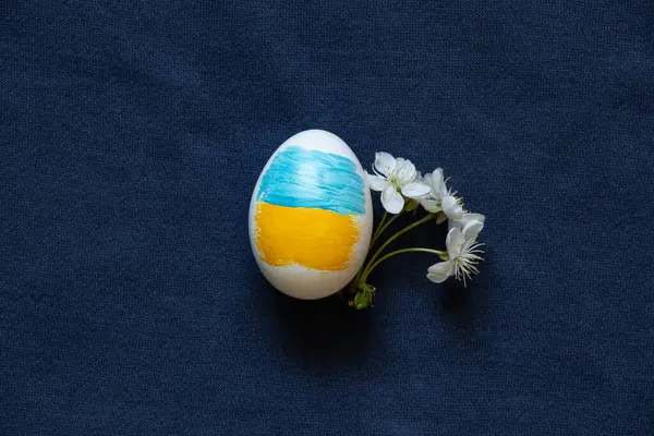 Ukrayna bayrağının renklerine boyanmış Paskalya yumurtası ve mavi arka planda bir kiraz ağacı dalı, Ukrayna 'da Paskalya.