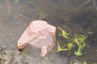 Ukrayna 'daki Dinyeper Nehri' ndeki plastik torba, çevre kirliliği, doğadaki çöp.