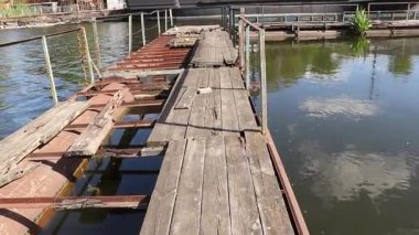 Ukrayna 'daki Dinyeper nehrinde tahtalarında delikler olan eski ahşap iskele, yazın ahşap tekne rıhtımı.