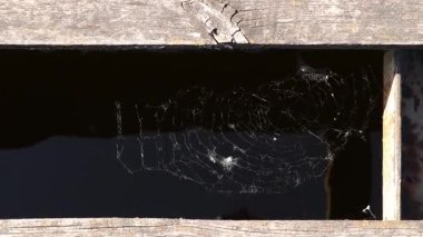 Yazın Ukrayna 'da Dinyeper Nehri' nin dalgaları üzerinde eski bir iskelede bir ağ sallanır.