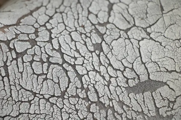 Arkaplan dokusu olarak beyaz yüzeyi çatlatmış, çatlaklar