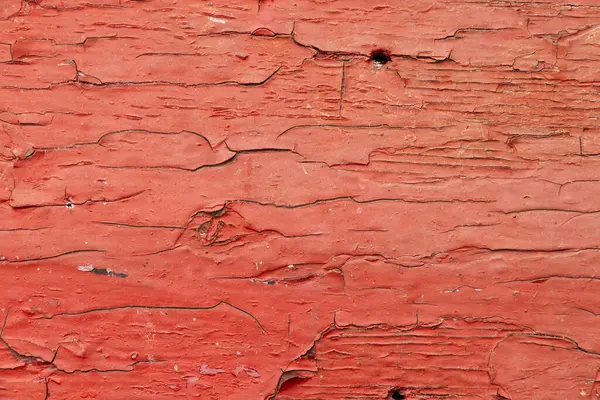 Güneşte arka plan olarak tahtadaki eski kırmızı kabuk boyası, kırmızı arka plan.