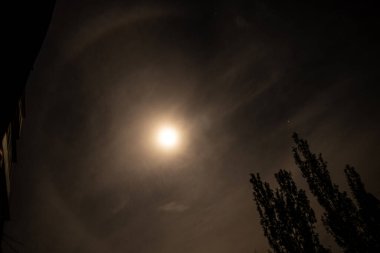 Dnipro şehrindeki Ukrayna üzerinde gece vakti Ay 'ın etrafında Halo, doğal bir fenomen.