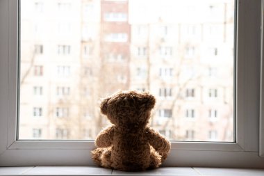 Bir oyuncak ayı bir apartmanın pencere eşiğinde oturur ve Ukrayna 'da çok katlı bir binanın penceresinden dışarı bakar.