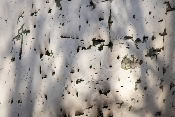 Dnepr, Ukrayna 'daki bir füze saldırısının ardından şarapnellerden çatlamış alçılı bir yerleşim yerinin duvarı yıkım ve patlama dalgası izleri.