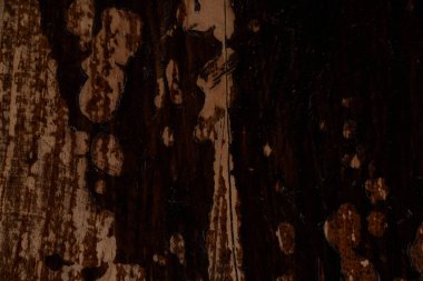 Kabuk soyma ve vernikli eski ahşap tahta yüzeyde aşınma, yonga ve eşitsizlik var ve arka plan ya da duvar kağıdı olarak kullanmak için kaba bir doku oluşturuyor.