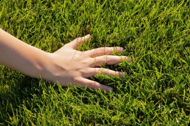 Ukrayna 'daki parklarda yaz mevsiminde küçük bir çocuğun eli çimlerin üzerinde uzanıyor.