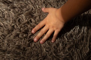 Evdeki kahverengi uzun halının üzerinde uzanan küçük çocuğun elini kapat.